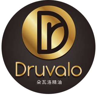 長易國際有限公司